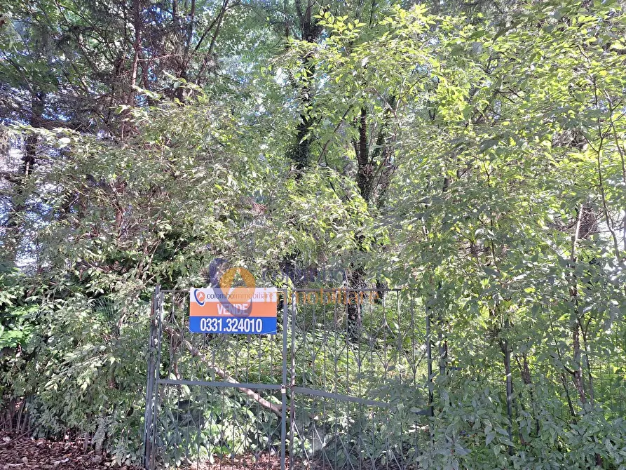 Immagine 1 di Terreno residenziale in vendita  in via Toniolo a Busto Arsizio