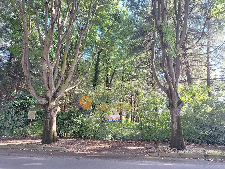 Immagine 2 di Terreno residenziale in vendita  in via Toniolo a Busto Arsizio