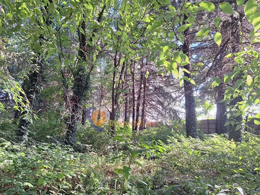 Immagine 3 di Terreno residenziale in vendita  in via Toniolo a Busto Arsizio