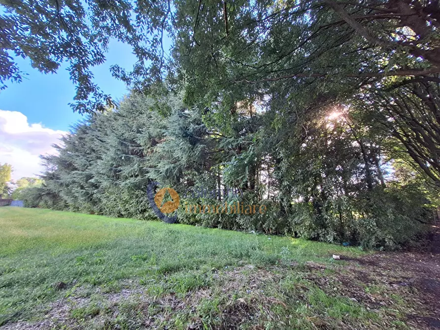 Immagine 5 di Terreno residenziale in vendita  in via Toniolo a Busto Arsizio