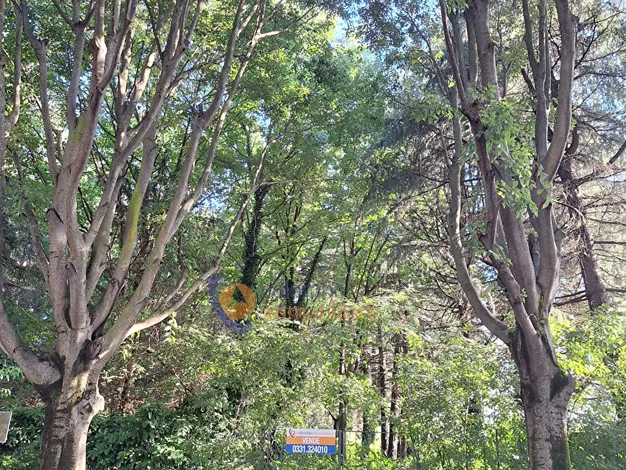 Immagine 9 di Terreno residenziale in vendita  in via Toniolo a Busto Arsizio
