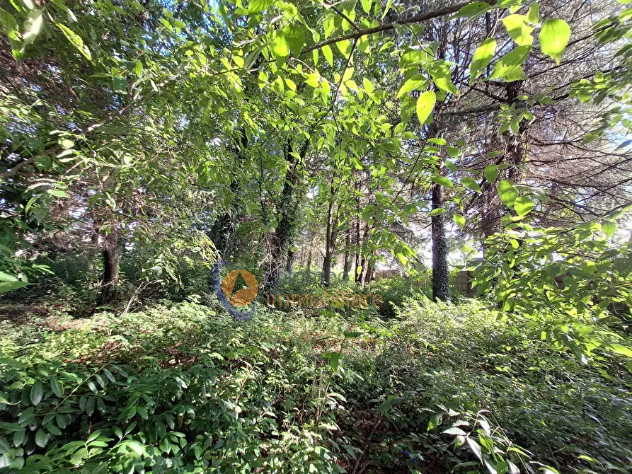 Immagine 14 di Terreno residenziale in vendita  in via Toniolo a Busto Arsizio