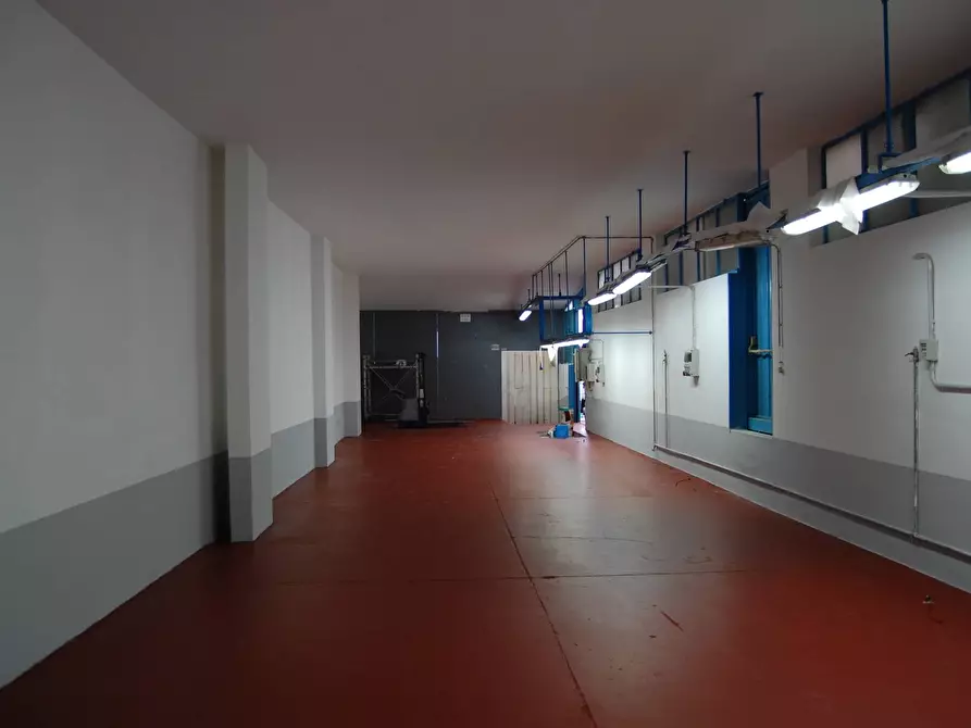 Immagine 3 di Capannone industriale in vendita  in via agli avelli a Canosa Di Puglia