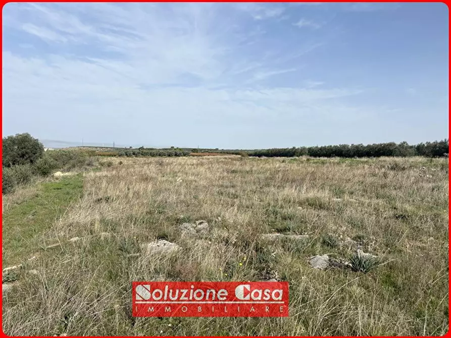 Immagine 2 di Terreno agricolo in vendita  in contrada Sant'antonio a Canosa Di Puglia