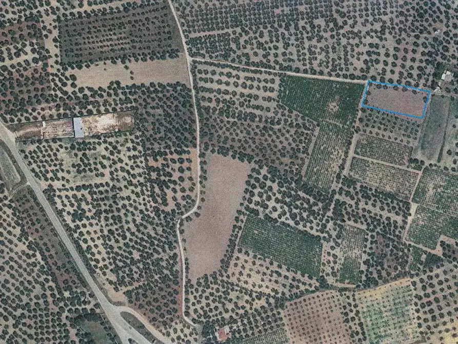terreno agricolo in vendita a Canosa di Puglia