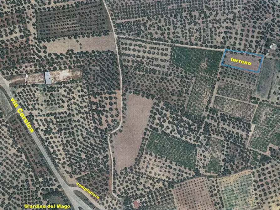 terreno agricolo in vendita a Canosa di Puglia