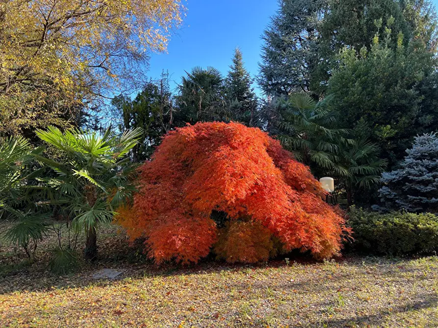 Immagine 35 di Appartamento in vendita  in Via Zara 1 a Fagnano Olona