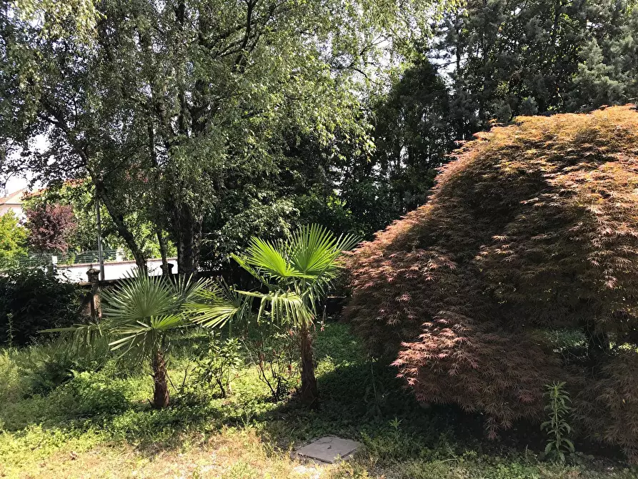 Immagine 43 di Appartamento in vendita  in Via Zara 1 a Fagnano Olona