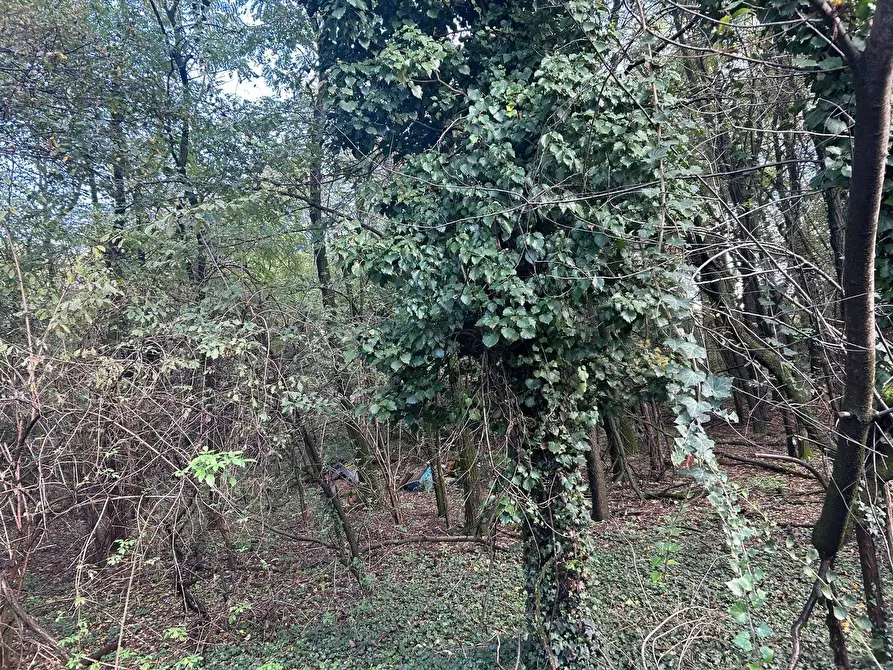 Immagine 17 di Terreno residenziale in vendita  in Viale Toscana 48 a Busto Arsizio