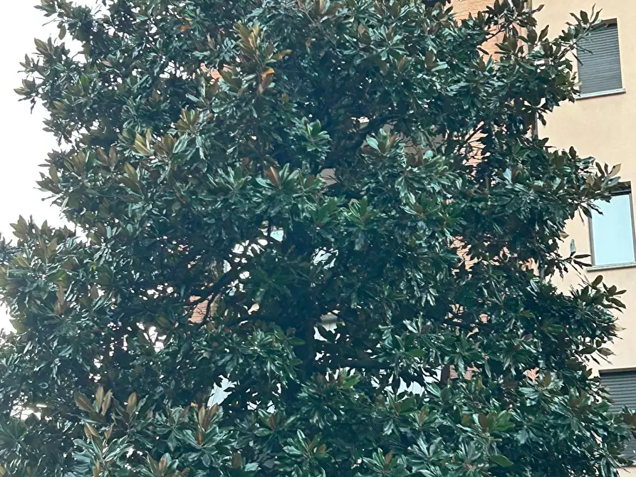 Immagine 36 di Appartamento in vendita  in Via Pola 2 a Legnano