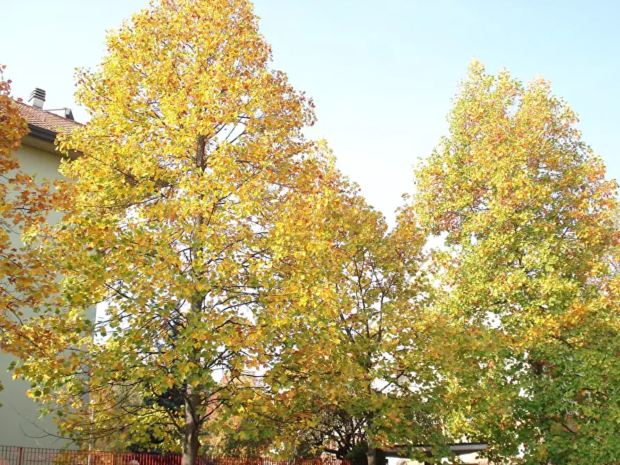 Immagine 30 di Appartamento in vendita  in Via Redipuglia 20 a Bernate Ticino