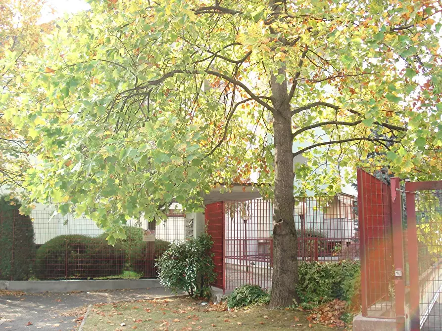 Immagine 32 di Appartamento in vendita  in Via Redipuglia 20 a Bernate Ticino