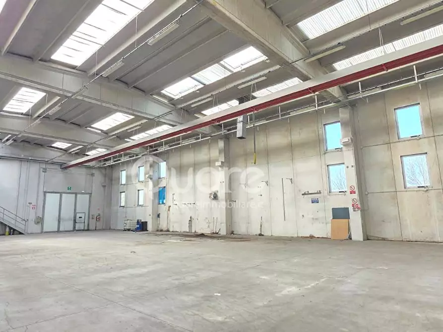 Immagine 11 di Capannone industriale in vendita  in via pisacane 13 a Tavagnacco