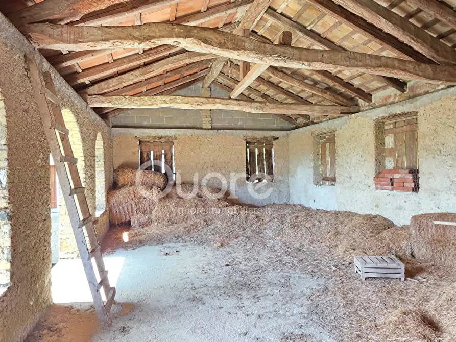 Immagine 23 di Casa semindipendente in vendita  in VIA LAVIA 35 a Moruzzo