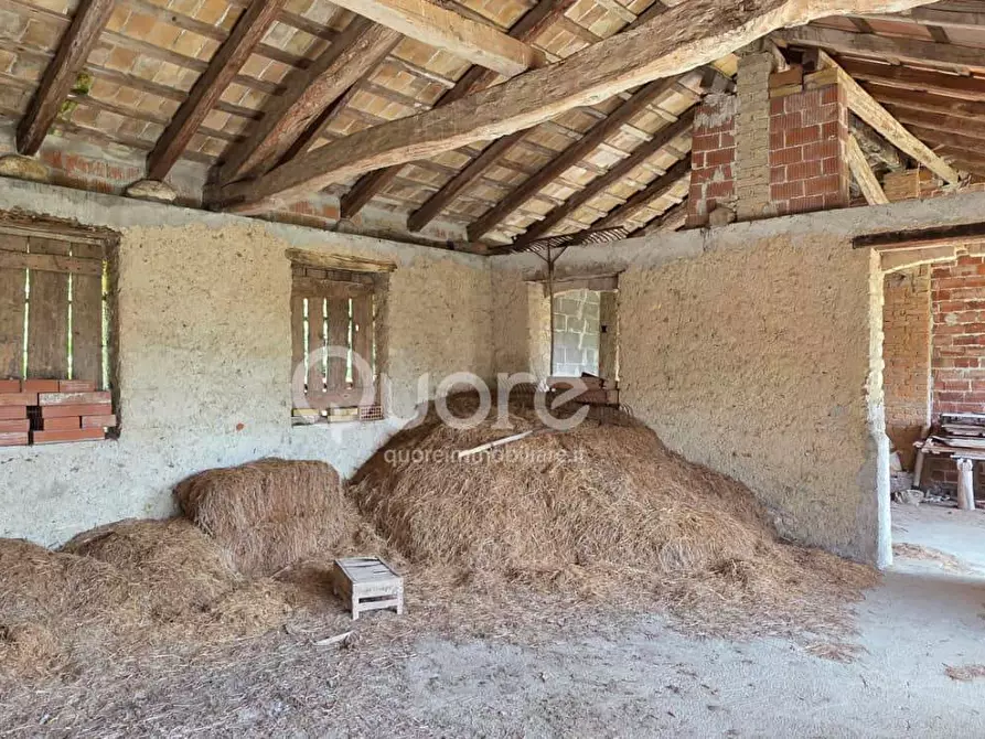 Immagine 26 di Casa semindipendente in vendita  in VIA LAVIA 35 a Moruzzo