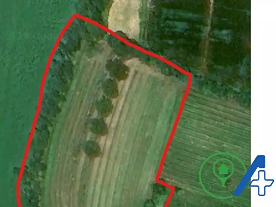 Immagine 1 di Terreno agricolo in vendita  a Cavriana