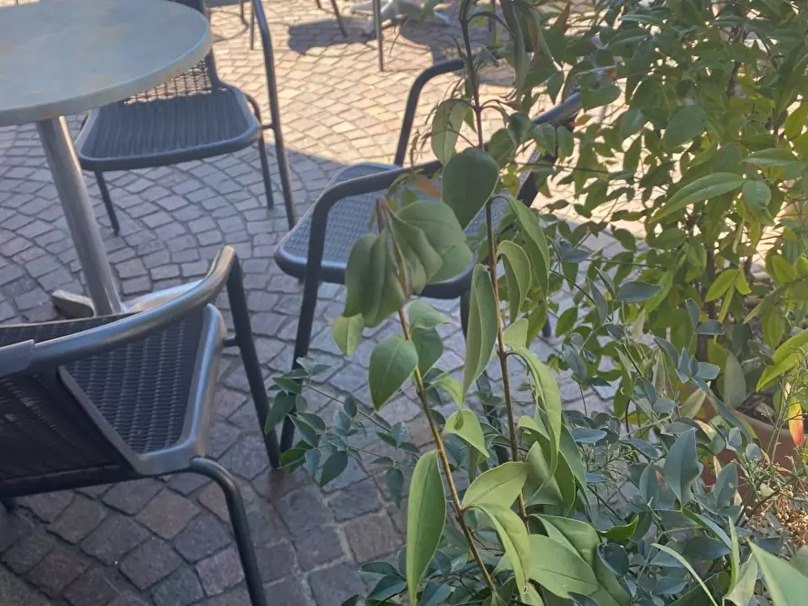 Immagine 2 di Bar / Ristorante in vendita  a Lainate