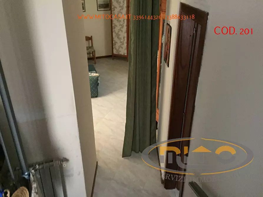 Immagine 26 di Casa indipendente in vendita  in VIA SALERNO a Castelvenere