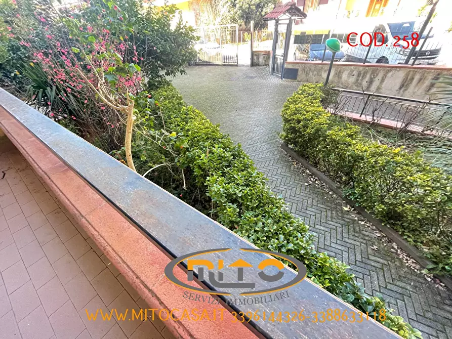 Immagine 30 di Appartamento in vendita  a Telese Terme