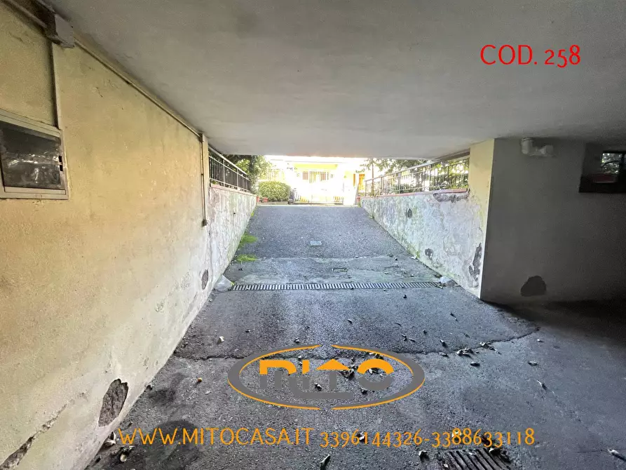 Immagine 41 di Appartamento in vendita  a Telese Terme