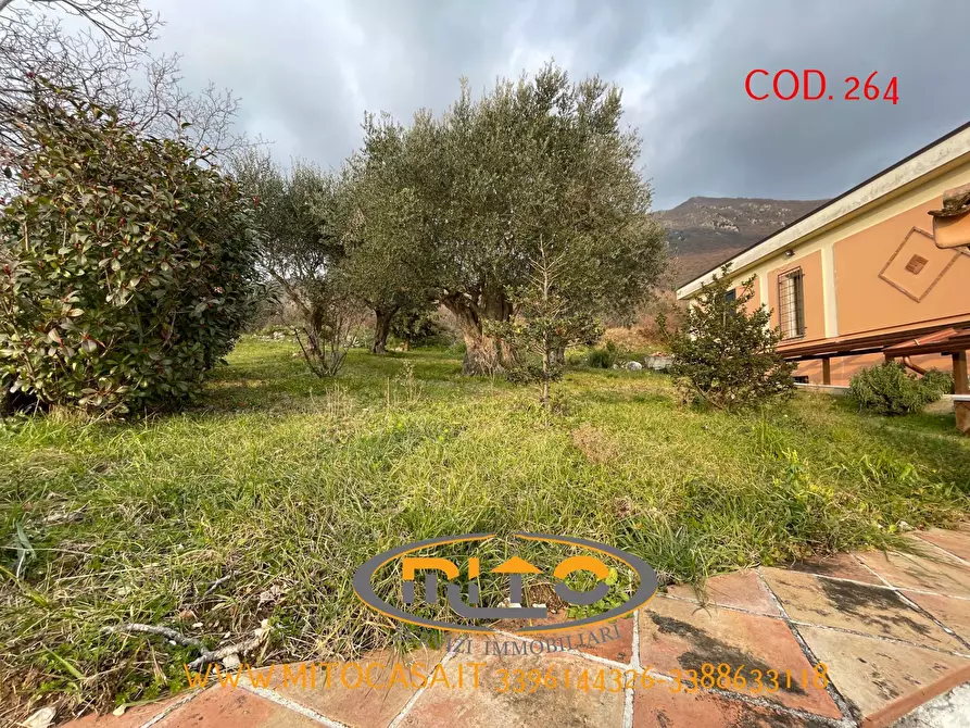 Immagine 5 di Villa in vendita  a Gioia Sannitica