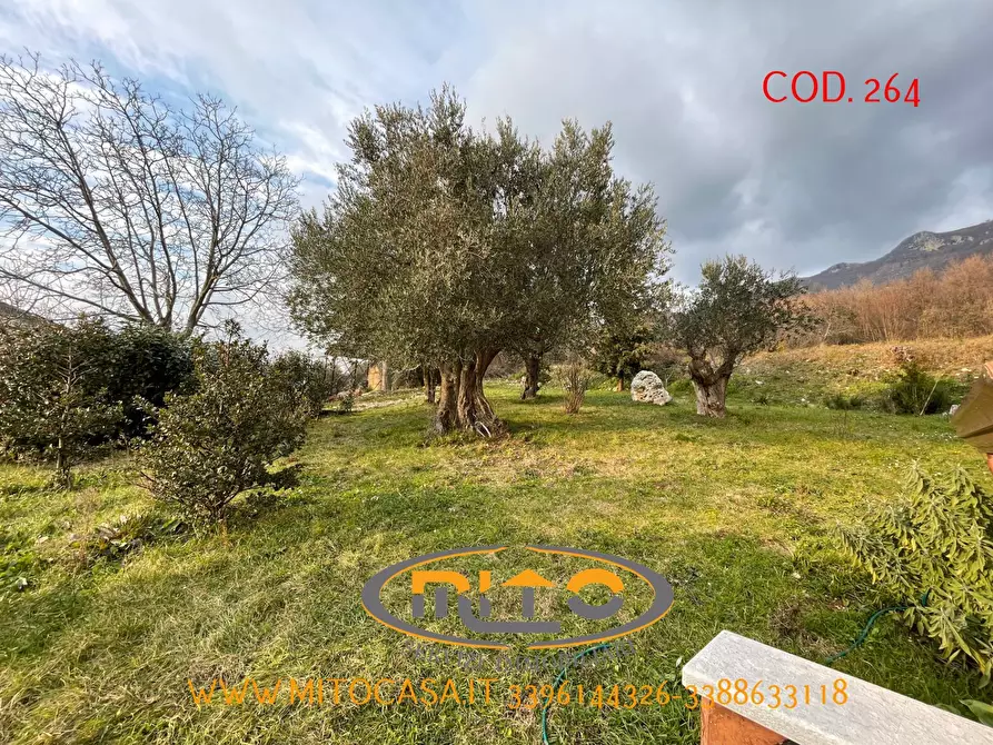 Immagine 7 di Villa in vendita  a Gioia Sannitica