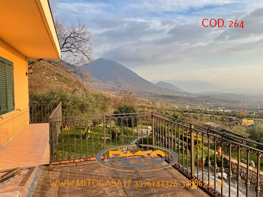 Immagine 75 di Villa in vendita  a Gioia Sannitica