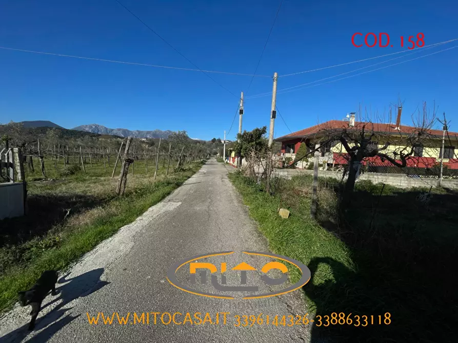 Immagine 4 di Casa indipendente in vendita  in SOLOPACA VIA SANT'ANIELLO a Castelvenere