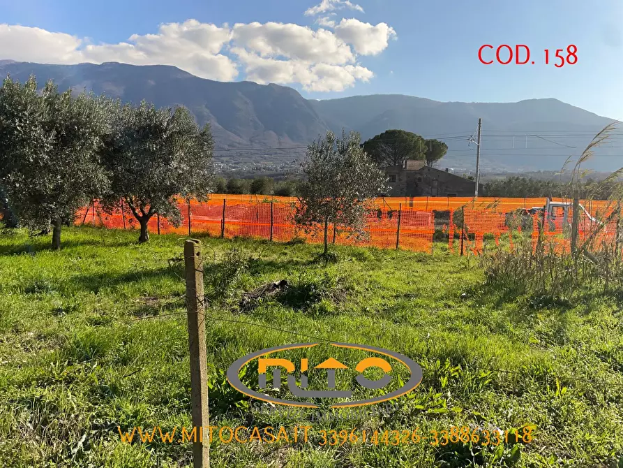 Immagine 19 di Casa indipendente in vendita  in SOLOPACA VIA SANT'ANIELLO a Castelvenere