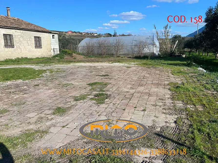 Immagine 20 di Casa indipendente in vendita  in SOLOPACA VIA SANT'ANIELLO a Castelvenere