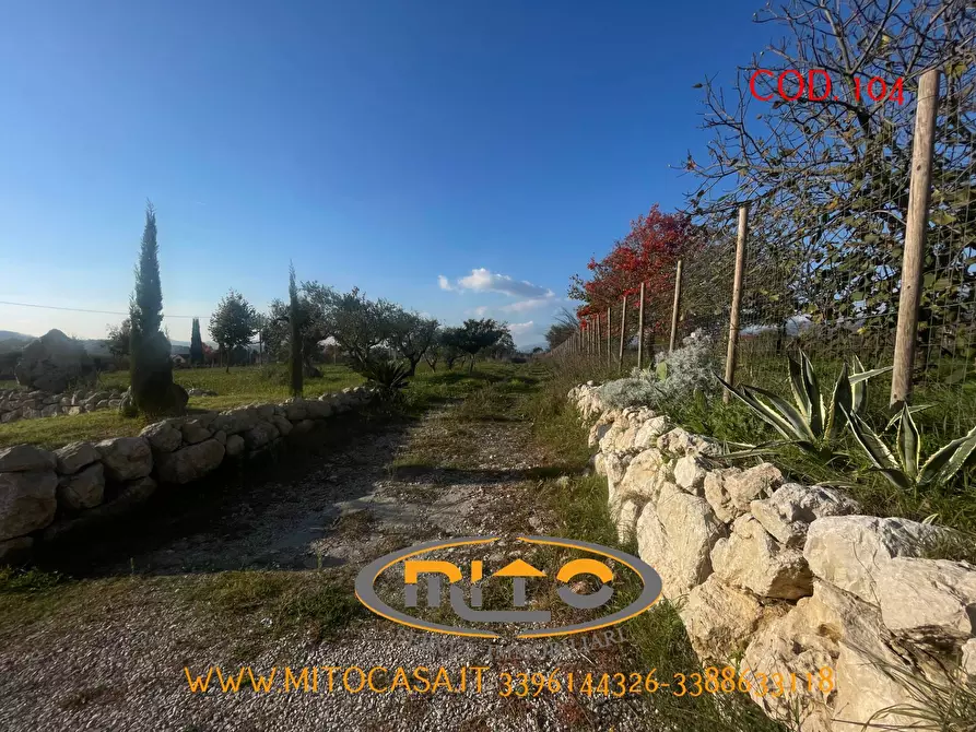 Immagine 23 di Villa in vendita  in VIA VENEZIA 26 a Castelvenere