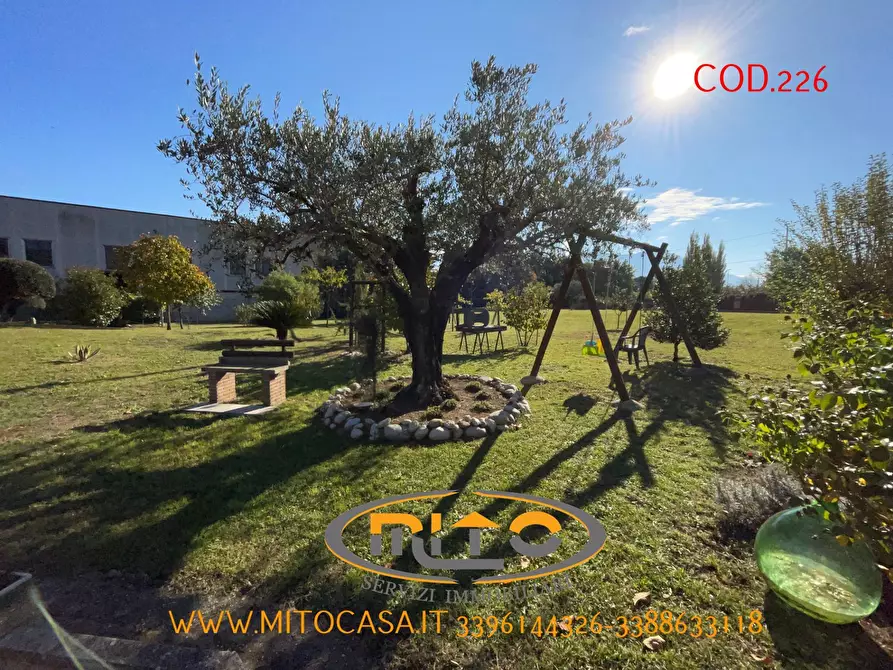 Immagine 2 di Villa in vendita  a Castelvenere