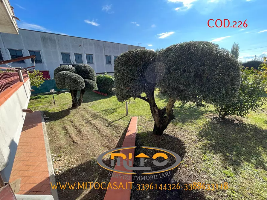 Immagine 99 di Villa in vendita  a Castelvenere