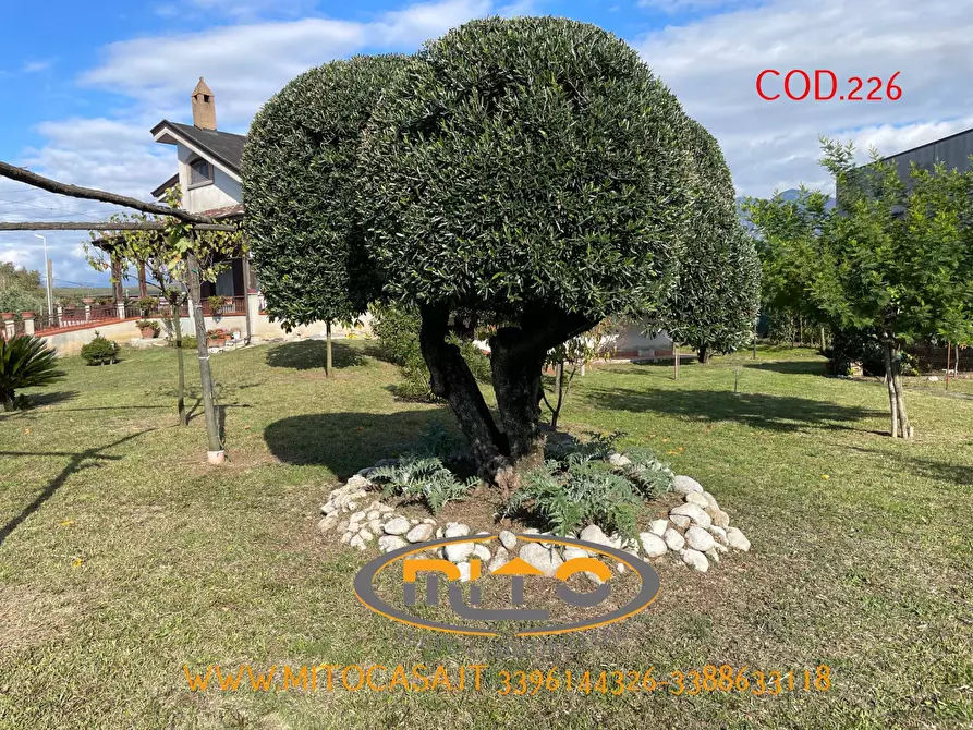 Immagine 125 di Villa in vendita  a Castelvenere