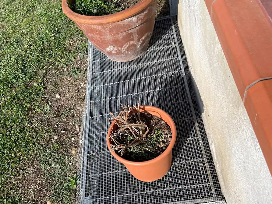 Immagine 132 di Villa in vendita  a Castelvenere