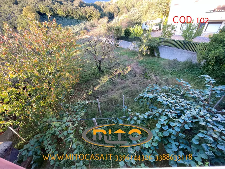 Immagine 49 di Casa indipendente in vendita  a Telese Terme