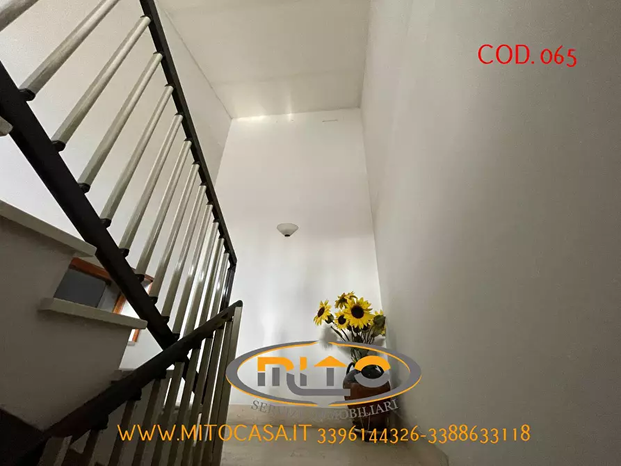 Immagine 44 di Casa indipendente in vendita  in VIA GARIBALDI 107 a Apollosa