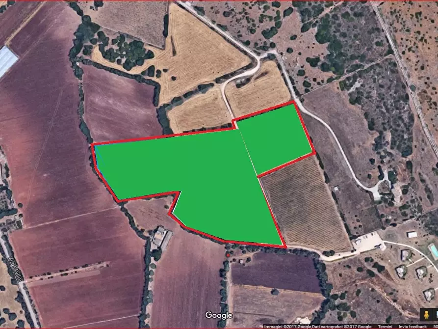 Immagine 4 di Terreno agricolo in vendita  in isola a Siracusa