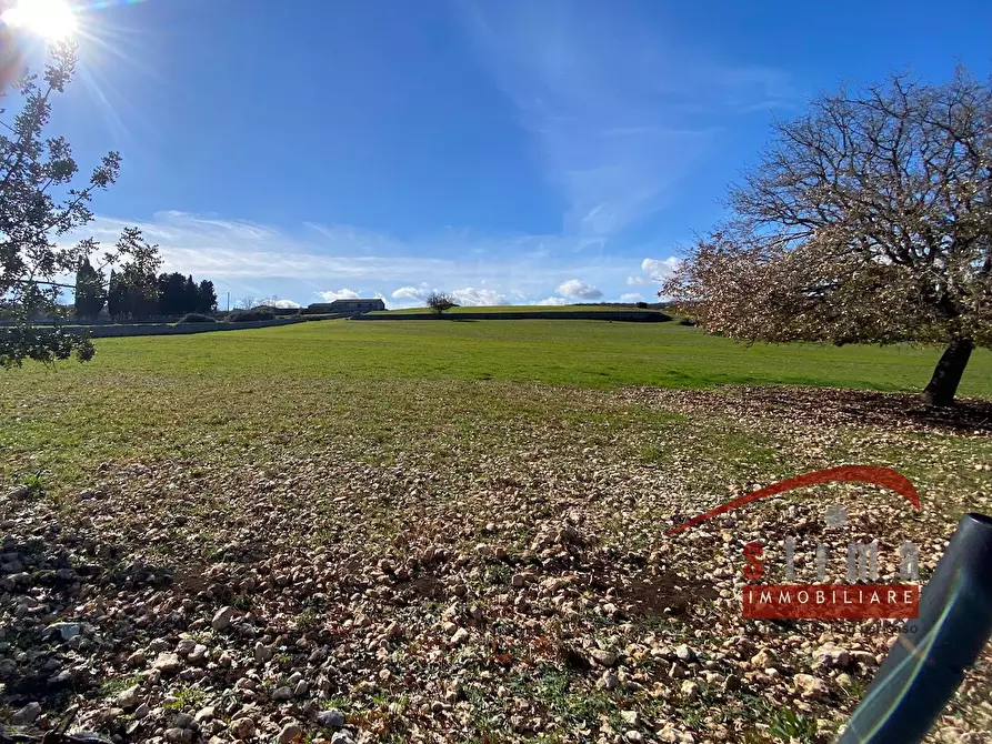 Immagine 2 di Rustico / casale in vendita  a Cassaro