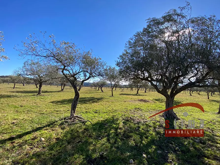 Immagine 7 di Rustico / casale in vendita  a Cassaro