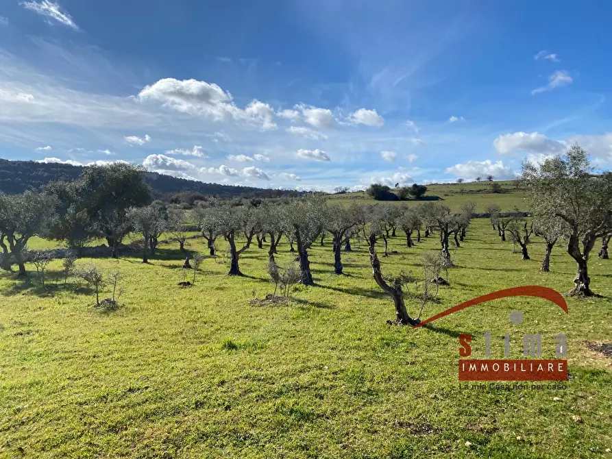 Immagine 11 di Rustico / casale in vendita  a Cassaro