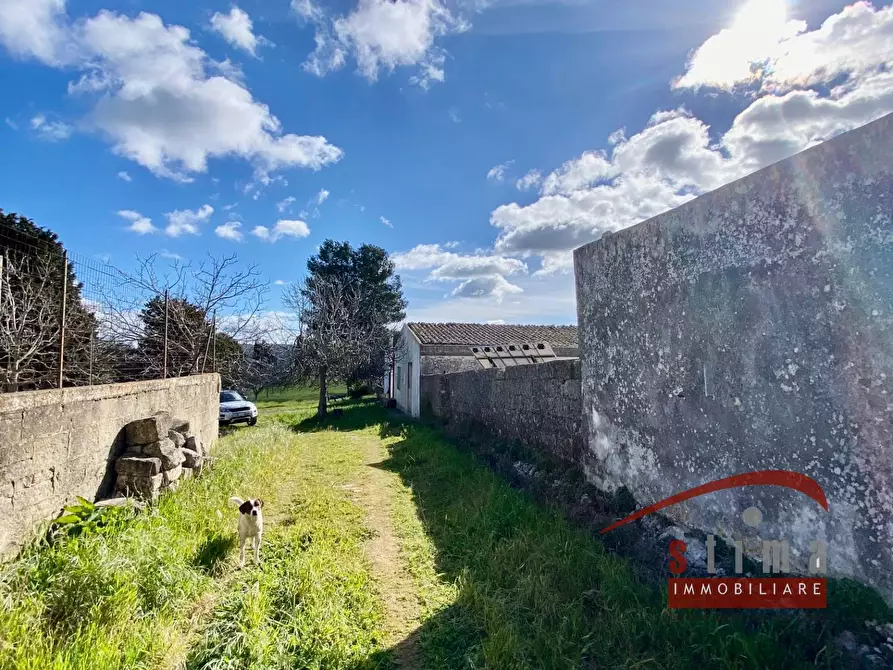 Immagine 24 di Rustico / casale in vendita  a Cassaro