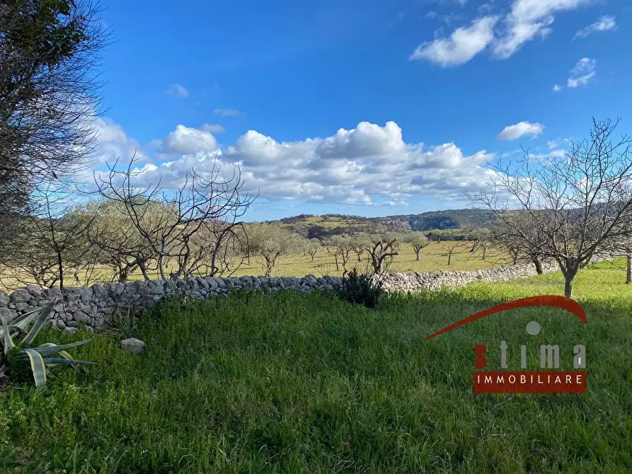 Immagine 29 di Rustico / casale in vendita  a Cassaro