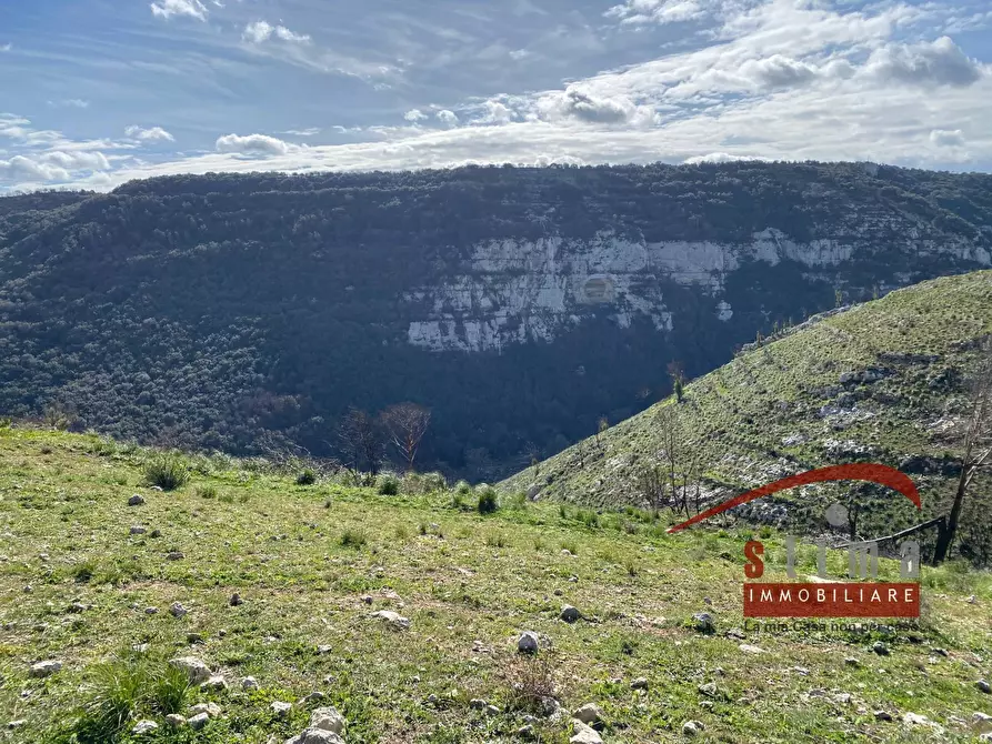 Immagine 31 di Rustico / casale in vendita  a Cassaro