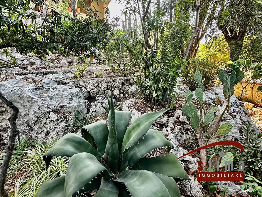 Immagine 6 di Villa in vendita  in via ovidio 14 a Siracusa