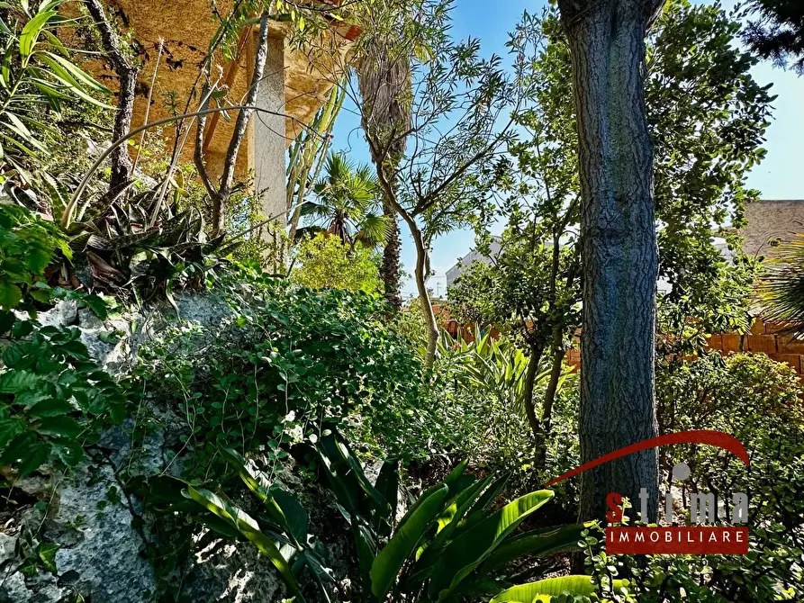 Immagine 18 di Villa in vendita  in via ovidio 14 a Siracusa