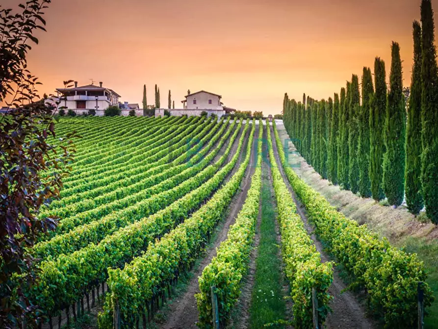 Immagine 9 di Albergo/B&B/Residence in vendita  in Sport Resort Ristorante Case Vacanza a Assisi