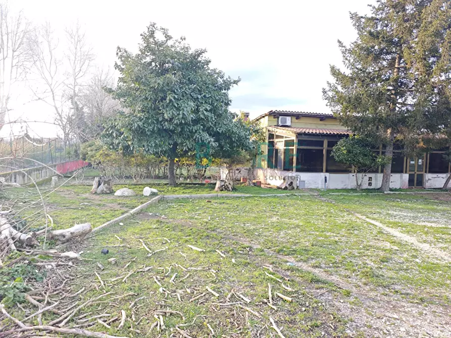 Immagine 3 di Locale commerciale in vendita  in VIA TRAVERSA PONTE DEL GRILLO 53 a Canale Monterano