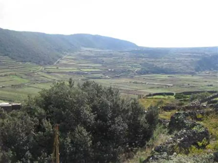 Immagine 6 di Casa indipendente in vendita  in Ghillanda a Pantelleria