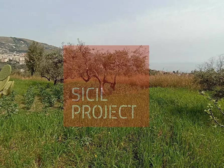 casa indipendente in vendita a Monreale